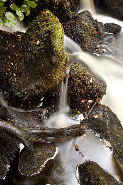 AROS PARK, ISLE OF MULL, SCOTLAND - ISLE OF MULL LANDSCAPE PHOTOGRAPHY