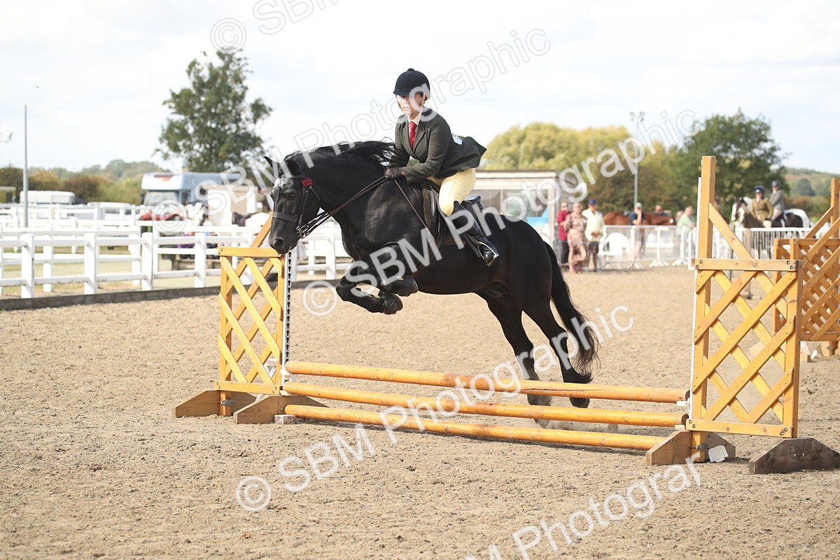 SBM_15161 - Class 505b - M&M Working Veteran - 50cm (20+)