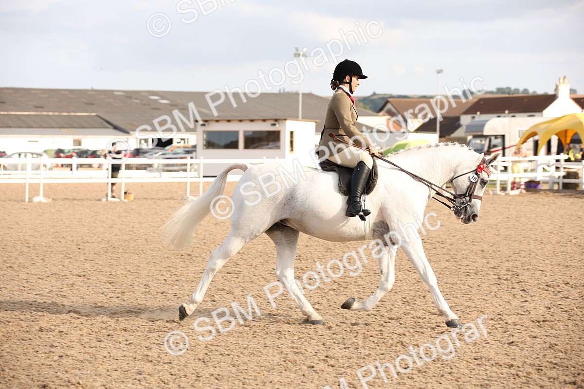 SBM_08826 - Class 12R Regional Ridden Pre-Vet