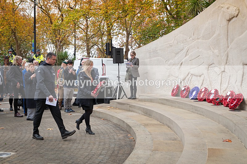 Z62_4612 - Animals In War Memorial 2025 - Park Lane, London