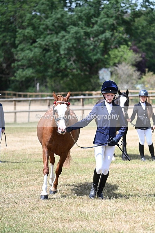 WJ7_1576 - Class 4 Prettiest Mare up to 14.2hh in hand