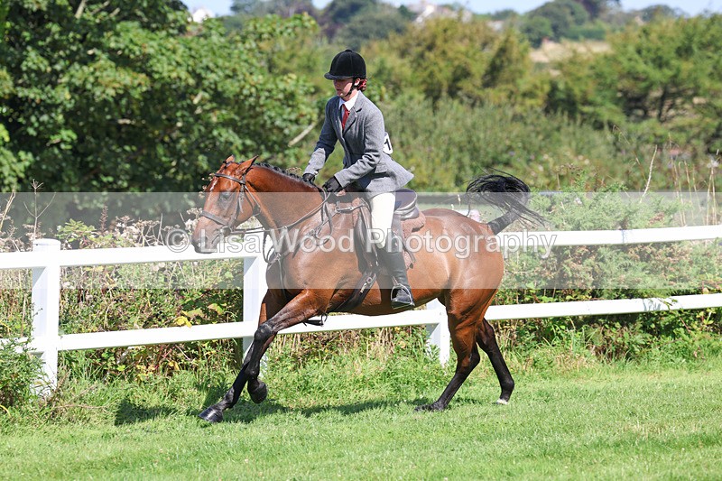 3E7A8425 - Class 4: Novice working Hunter