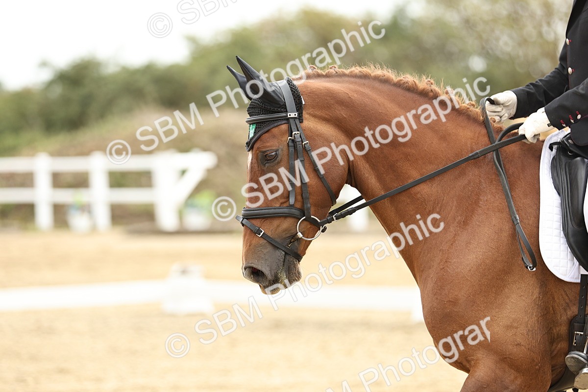 SBM_006898 - Class 21 - Medium 5 Bronze - 10.04-10.52