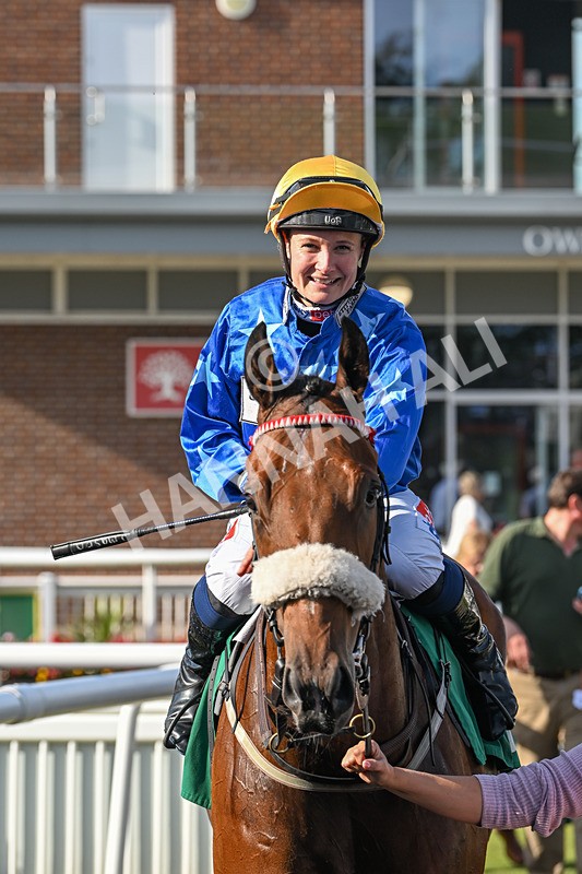 160924-Race 5-King Of The Jungle-3019 - Race 5