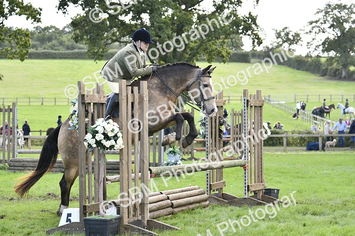 SBM_45755 - S33 - Working Hunter Pony