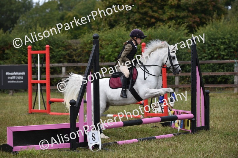 20250831-1870 - Class 9 - Absolute Novice 45cm