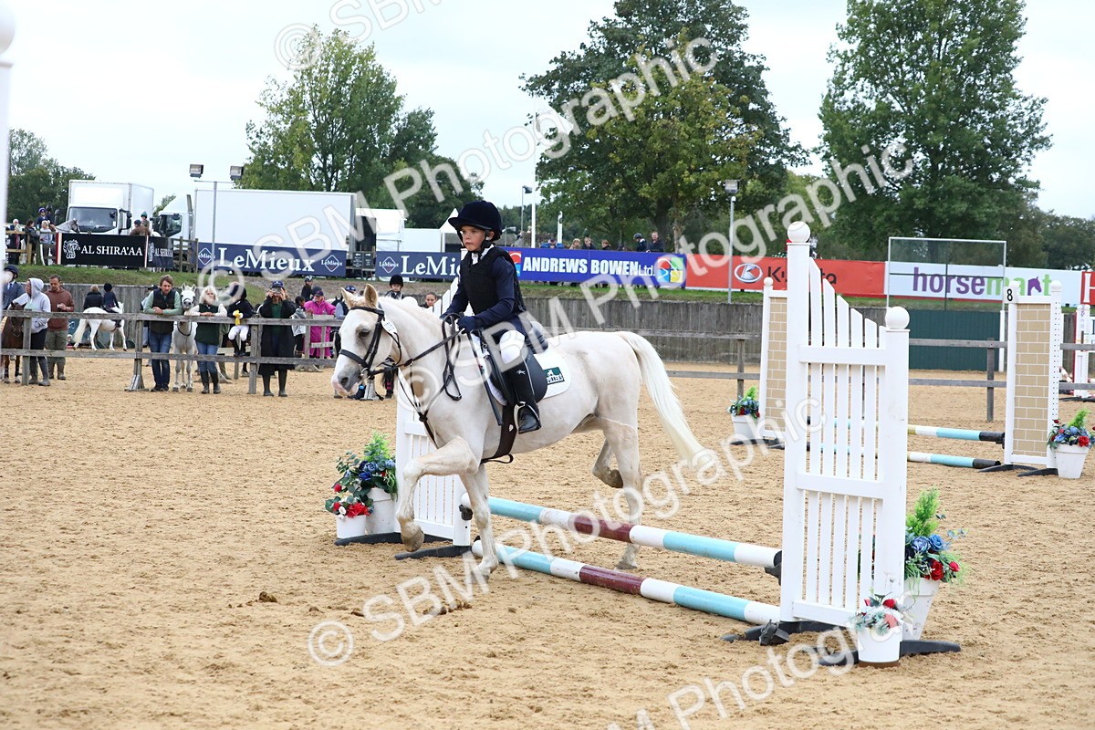 SBM_68297 - J3b - Mini Tour Junior Pony 40cm Championship
