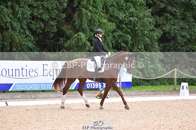 240809-121612-00715 - 185-Daisy.Hedges-Felicia.v