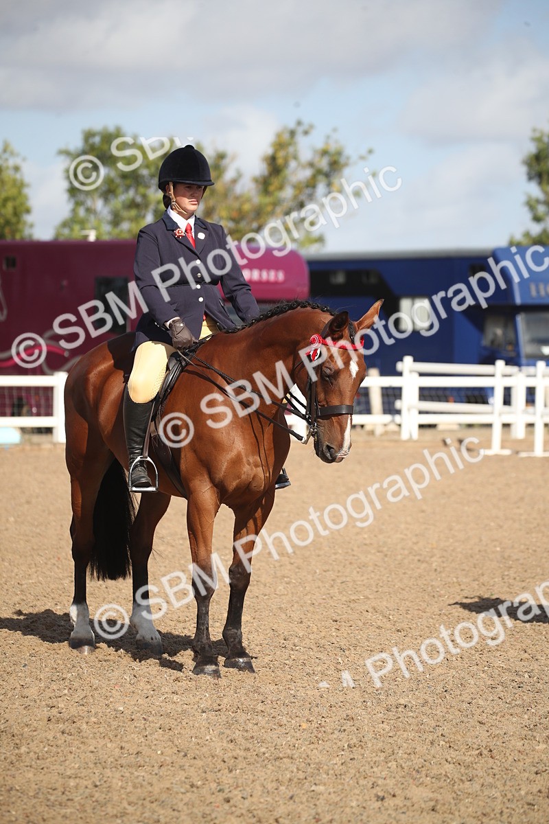 SBM_22839 - Class 602 - 2026 Area - Ridden Veteran