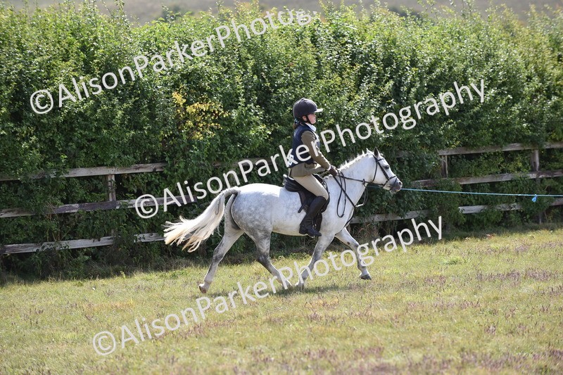 20250831-3945 - Class 11 - Working Hunter Pony 13hh and Under