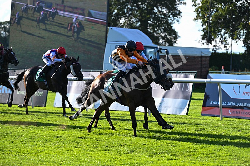 140926-Race 7-Forest Caper-7949 - Race 7 5.21pm Bowel Cancer Screening Programme Saves Lives Handicap