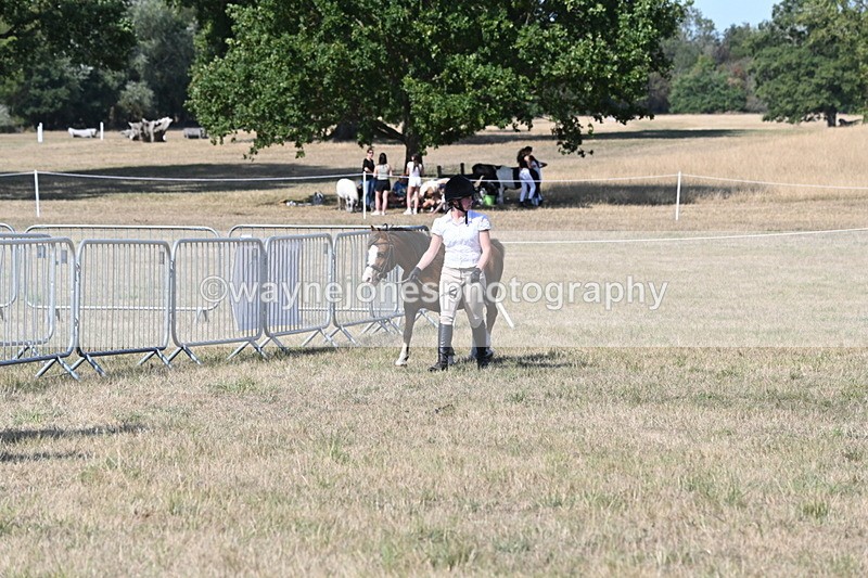 WJ6_9454 - Class 40 Cheekiest Pony/Horse