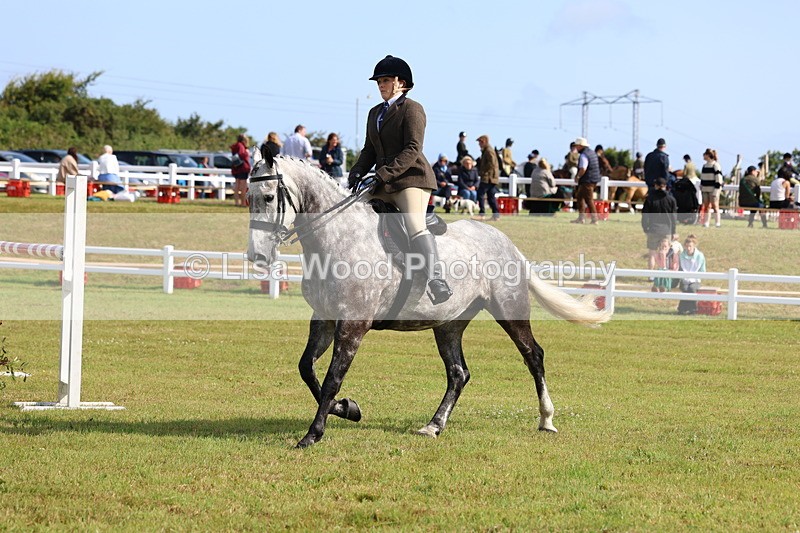 3E7A8804 - Class 3: Rising Star S/L Hunter