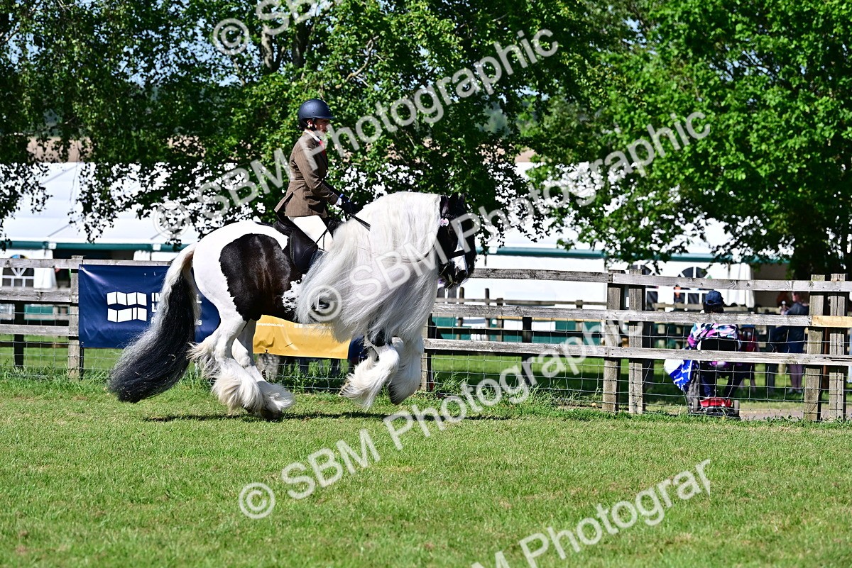 SBM_19360 - Class 101-102 - BSPS LIHS Performance Coloured Horse/Pony