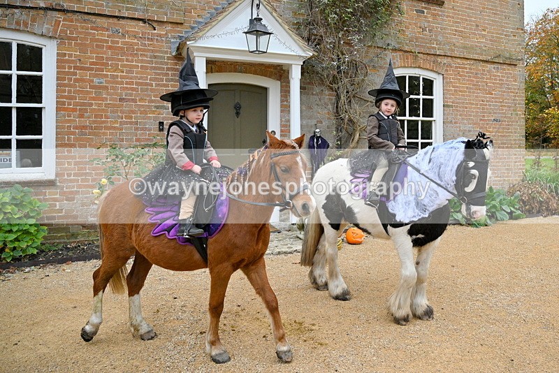 WJ7_6954 - Berks & Bucks - Children's Meet - The Old Farmhouse – Steventon.