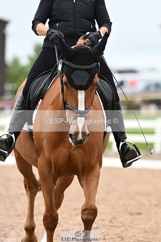 240621A-173159-06123 - Cls 9 MyQuest Novice 27