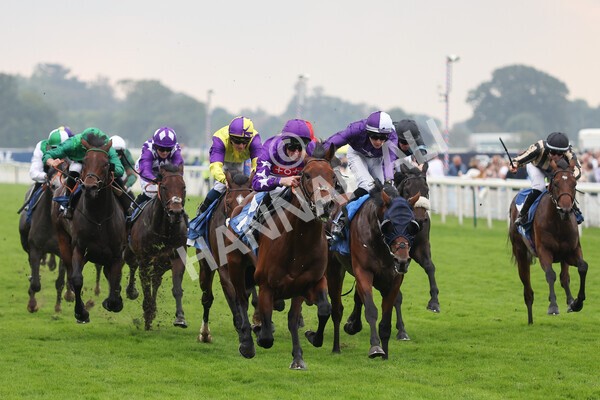 yr09102021r1-36 - Race 1 1.30pm Watch Racing Free Online At Coral Nursery Handicap