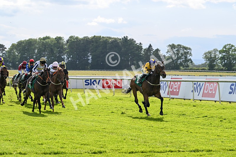 160624-Race 5-American Affair-8962 - Race 5