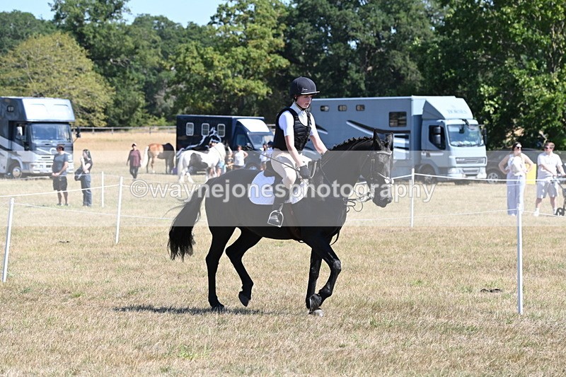 WJ6_8313 - Class 37a Best Loan Pony Ridden