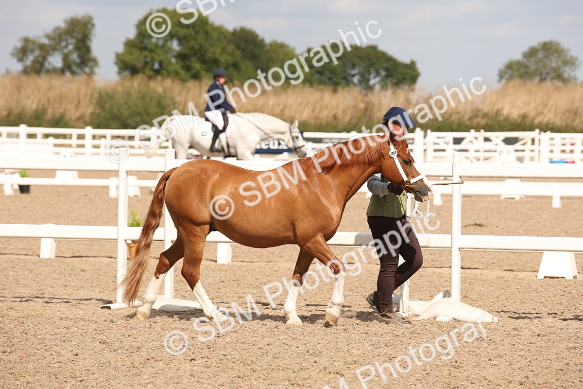 SBM_04527 - Class 20 IH Veteran