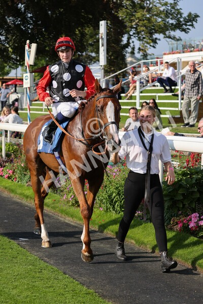 yr05092021r5-33 - Race 5 4.20pm Little Green Rascals Children's Nurseries Stakes