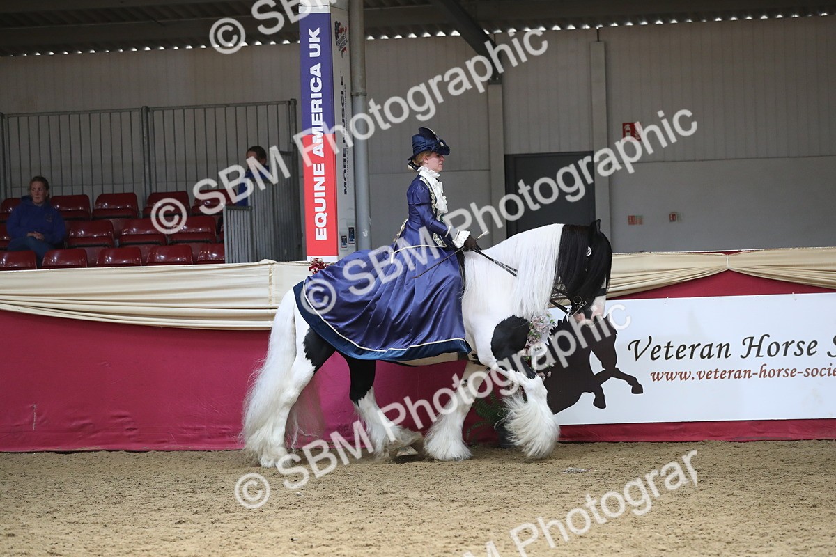 SBM_12079 - Class 106 Ridden Costume- Astride Adult (15-19)