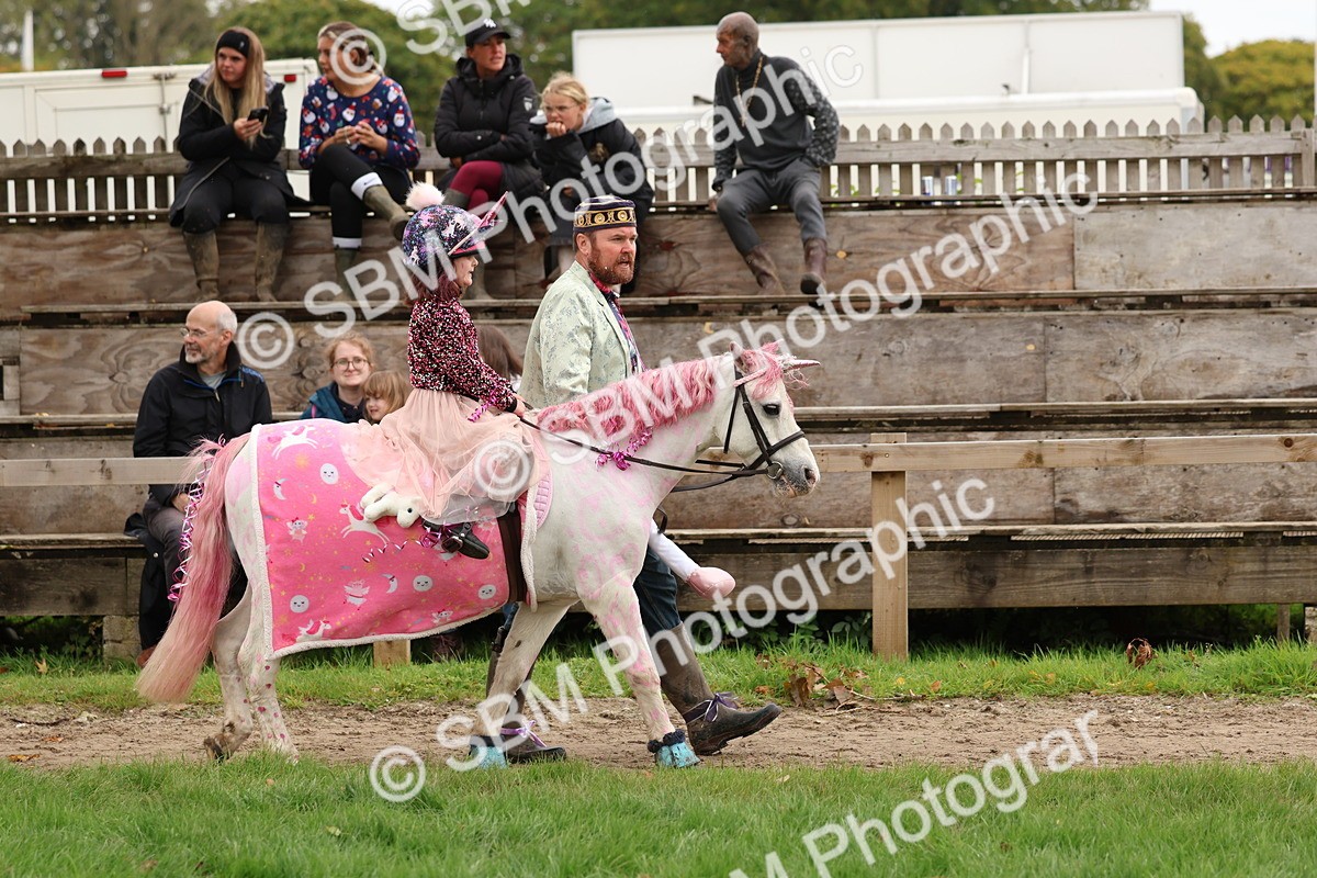 SBM_62156 - S37b - Best Unicorn