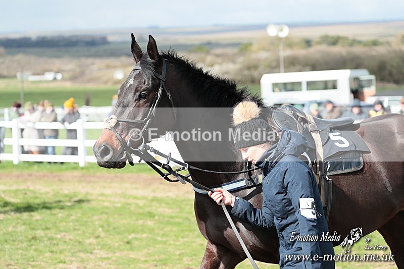 PtP 230324 312 - Tedworth Hunt PtP Larkhill Raccourse 23rd March 2024
