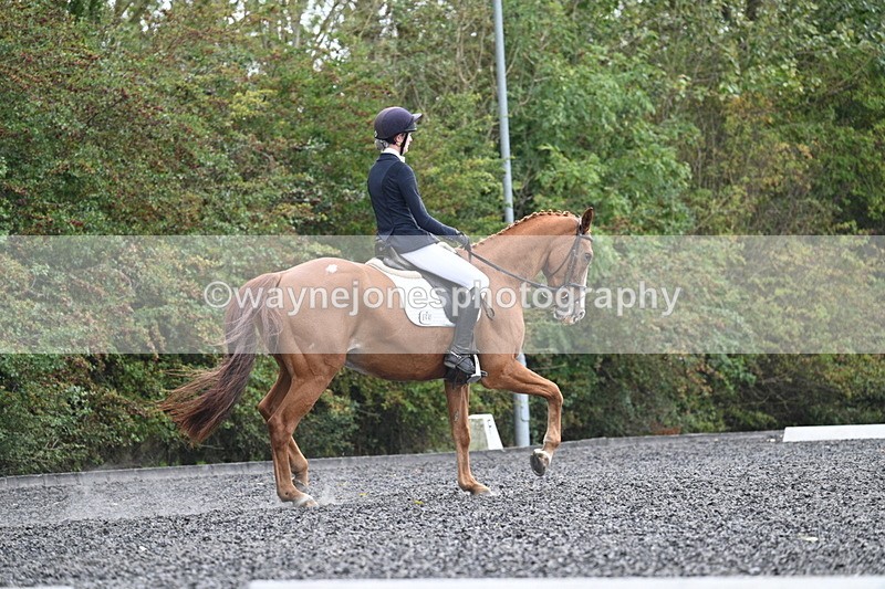 WJ7_6774 - Time 14:49 to 15:14