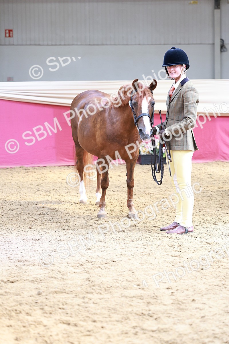 SBM_17571 - Class 951 - M&M IH Supreme Final