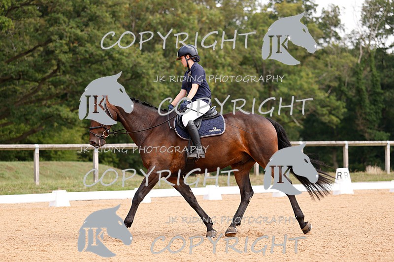 _R6A2369 - Dressage Morning