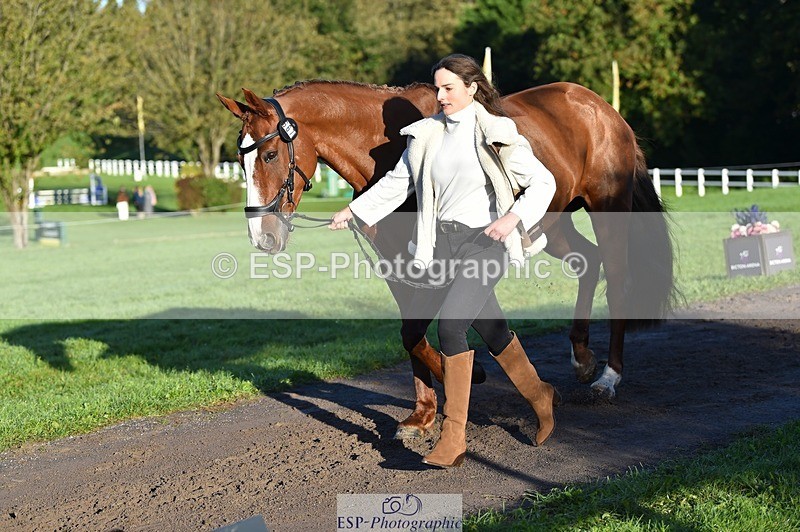 231022-091526-21652 - 667-BAILE.NA.CROISE-Emma.Pine-TrotUp+SJ