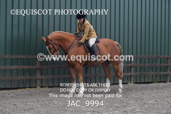 JAC_9994 - CLASS 3 Intermediate Working Hunter (0.70m - 0.85m)