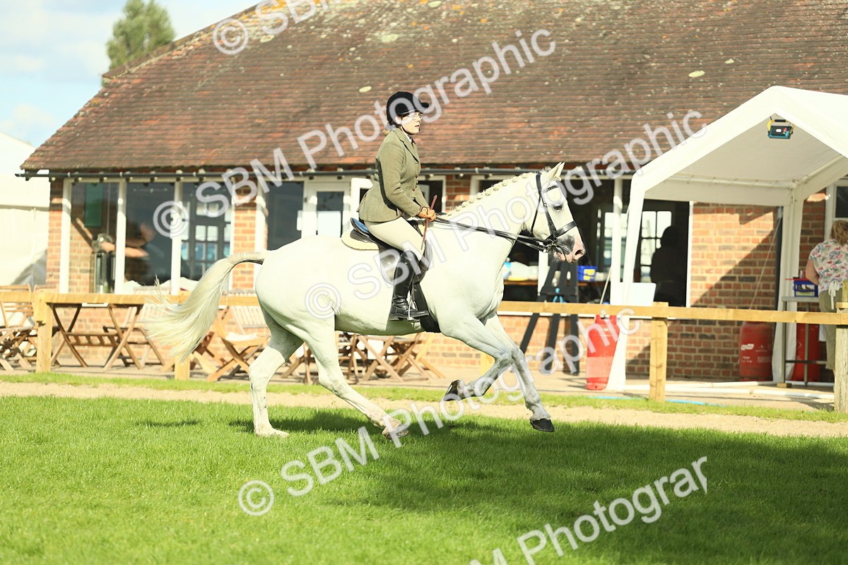 SBM_50540 - S33 - Working Hunter & Working Show Horse