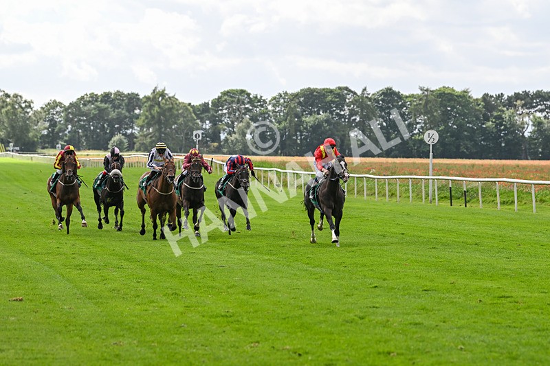 090824-Race 4-Law Of Average-4650 - Race 4