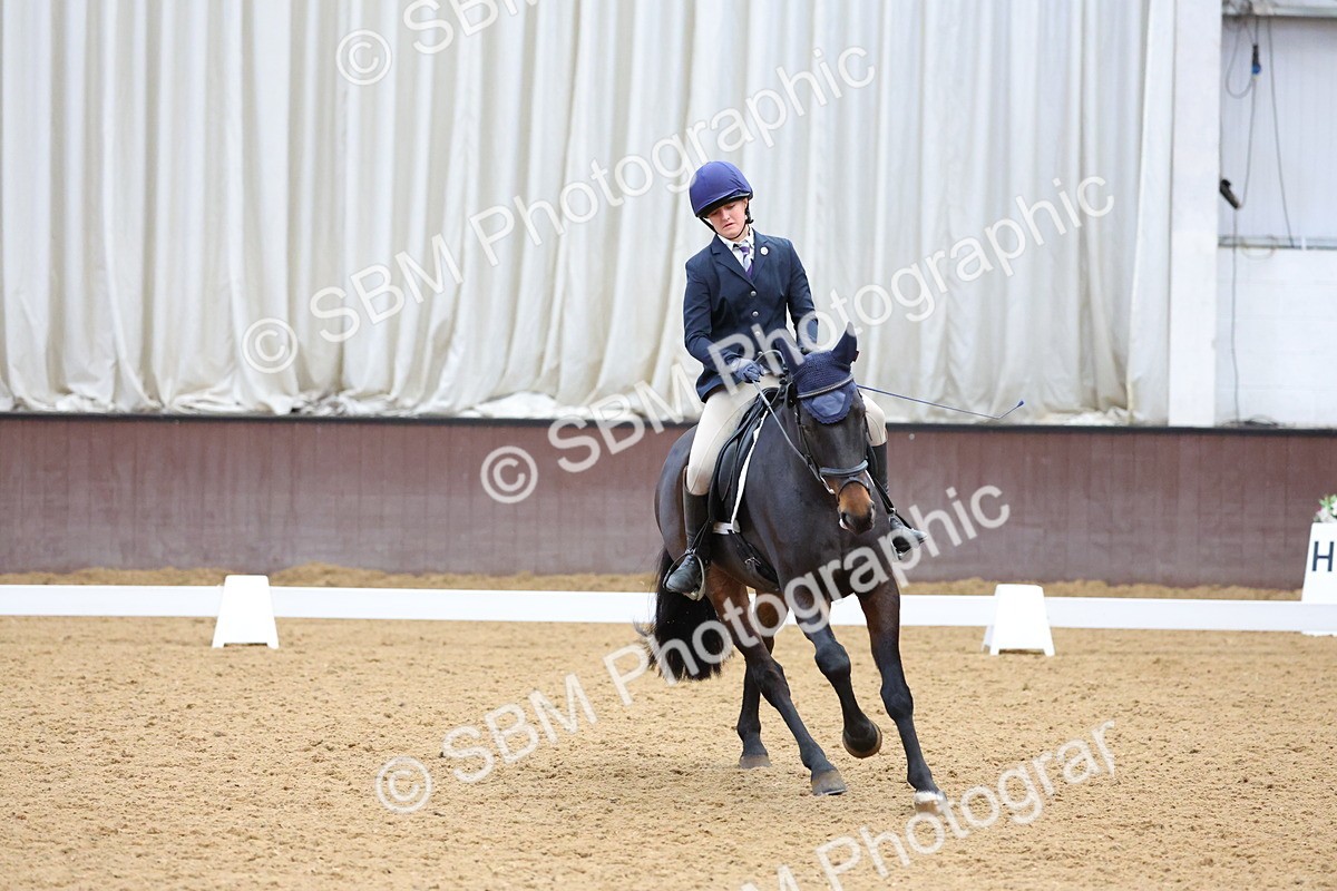 SBM_003117 - Novice