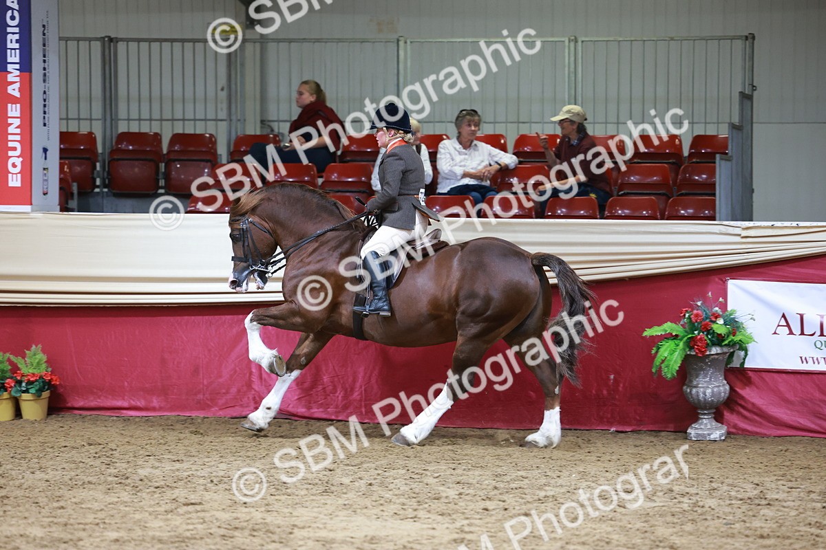 SBM_18761 - Class 952 - M&M Ridden Supreme Final