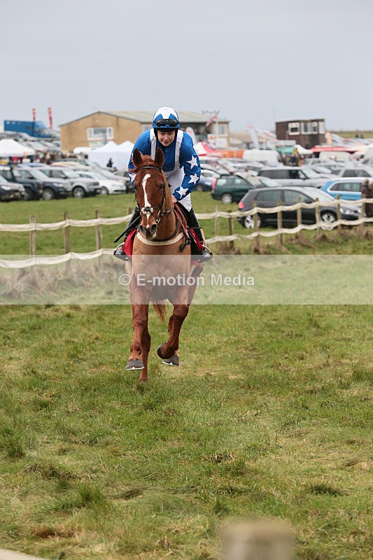 PtP 060119 94 - Larkhill Racing Club - Point-to-Point- 06/01/2019