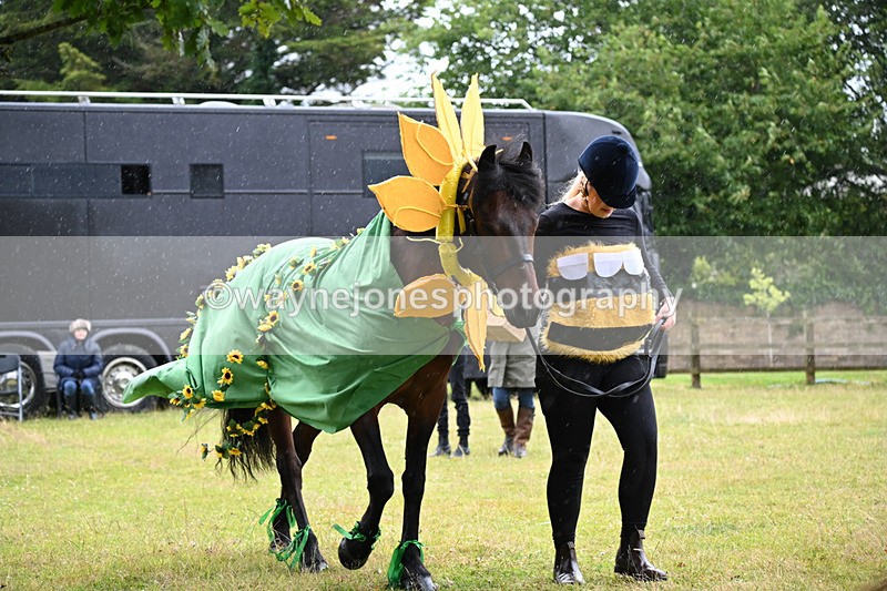 WJ6_9056 - Class 11 Fancy Dress