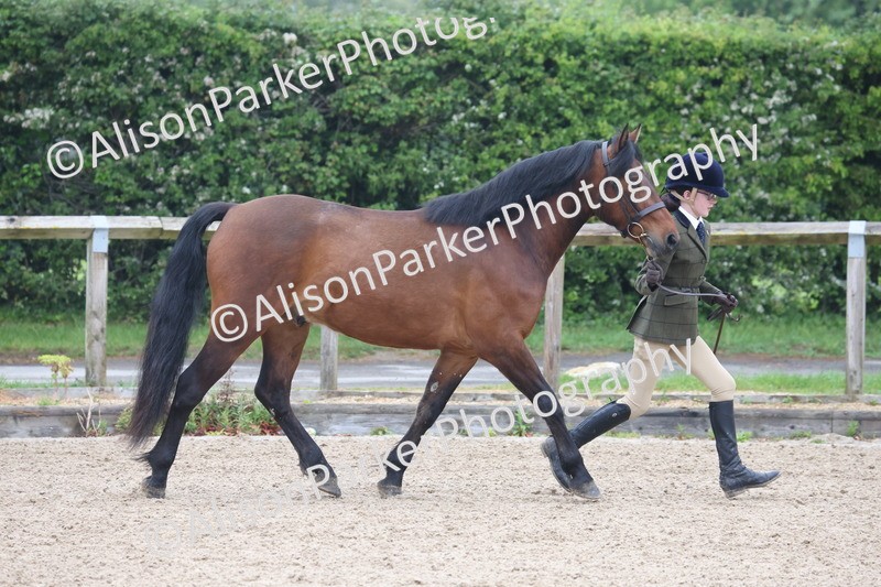 20260504-0155 - Class 2 - Youngstock