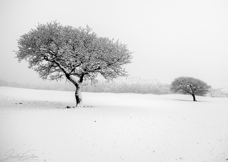 Winter Oaks - Rivington And Surrounding Areas