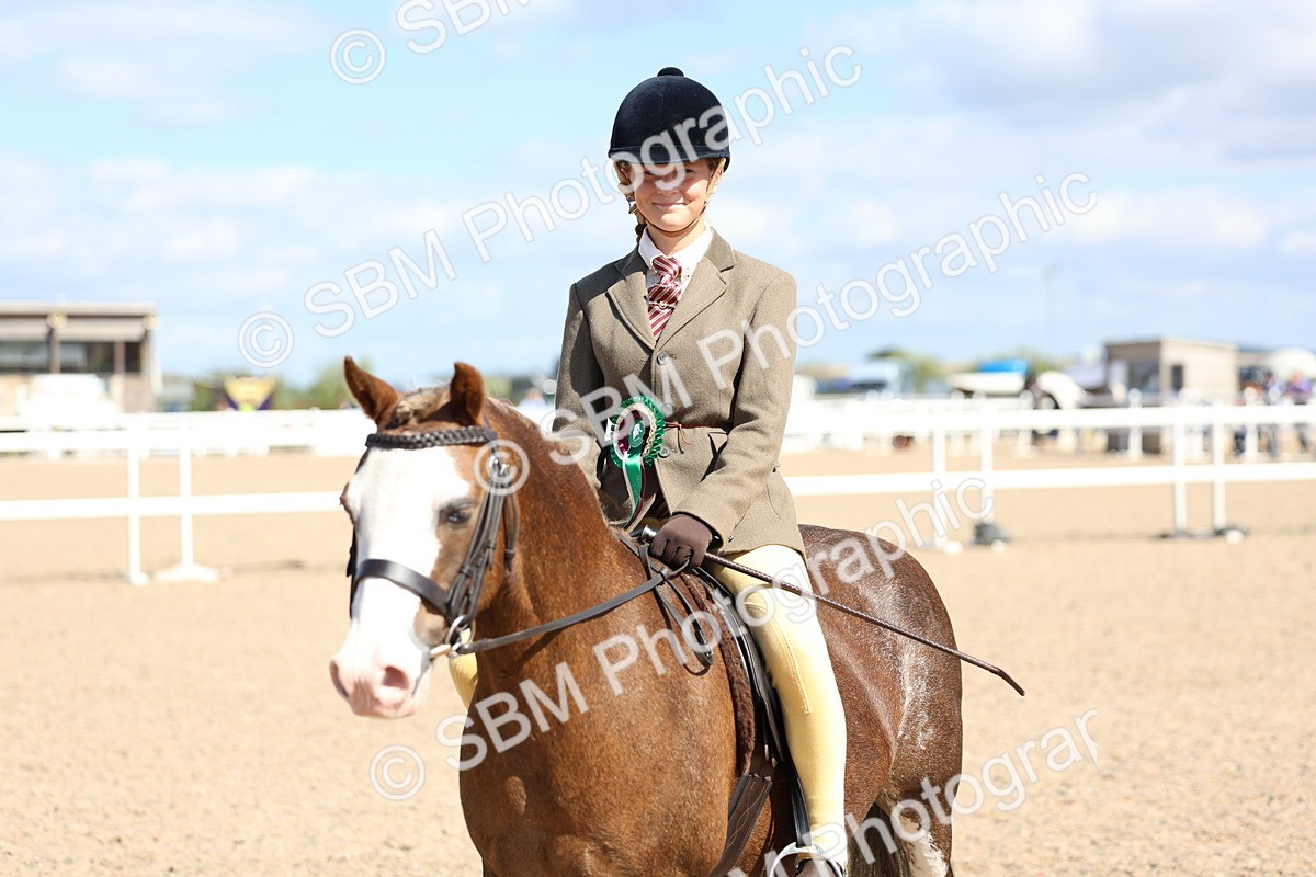 SBM_13351 - Class 311 - Ridden Show Pony Show Hunter Pony