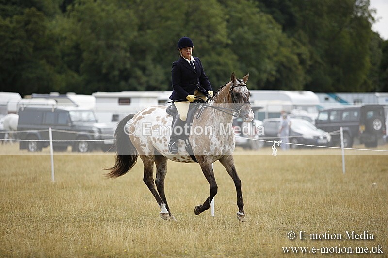 _C7A9527 - BVRC Show 2018 Ring 1