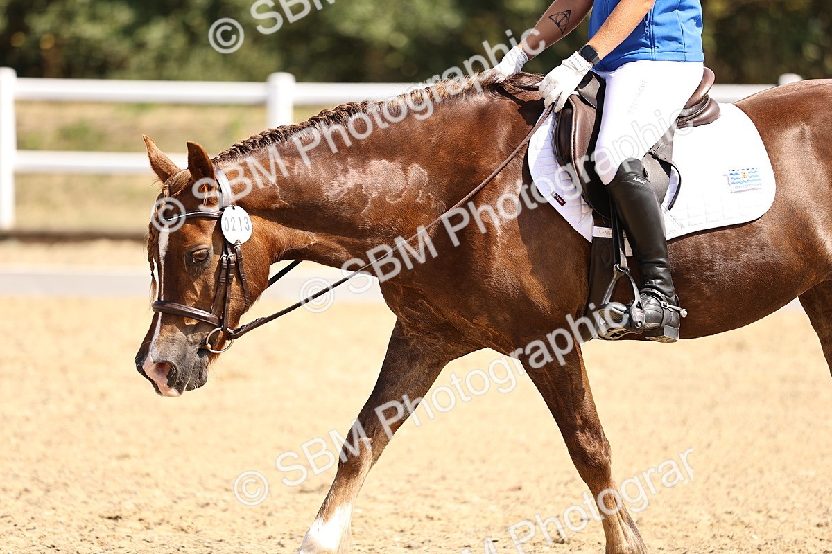 SBM_006545 - Intro 3 - 9.46-10.46