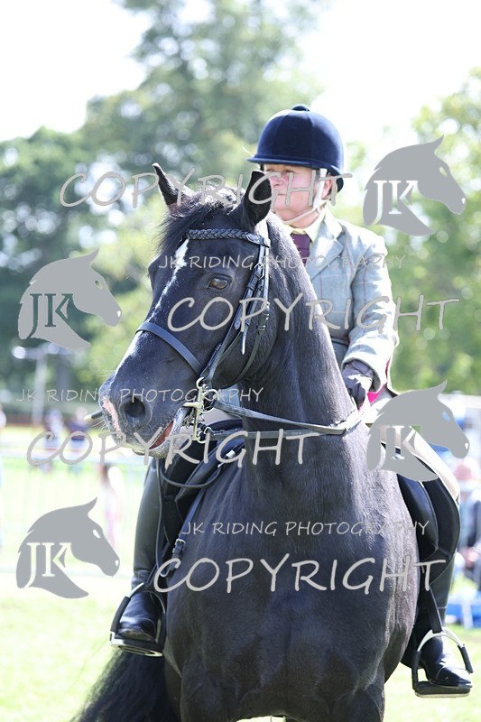 APP_3726 - Class 12 M&M ridden