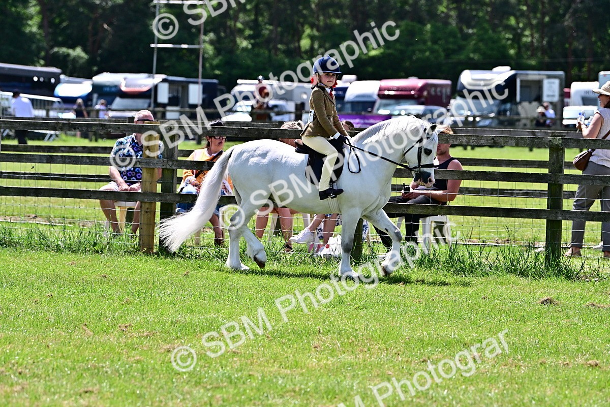 SBM_06032 - Class 59-60 - TSR M&M  Lear Rein and First Ridden Amateur of the year