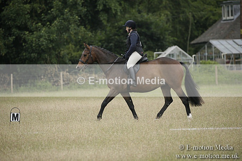 B230619-0008 - Bourne Valley Riding Club Summer Show 23/06/19