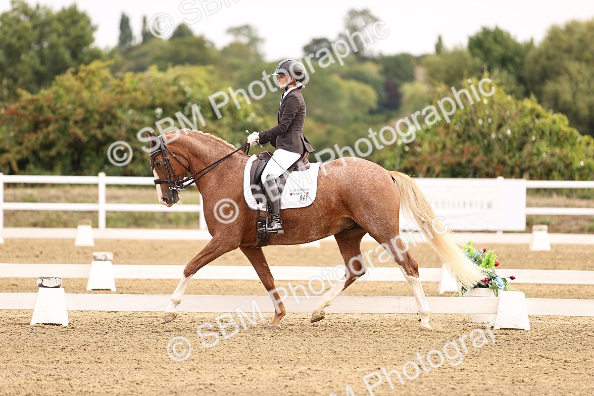 SBM_011538 - Class 1 - Medium 5