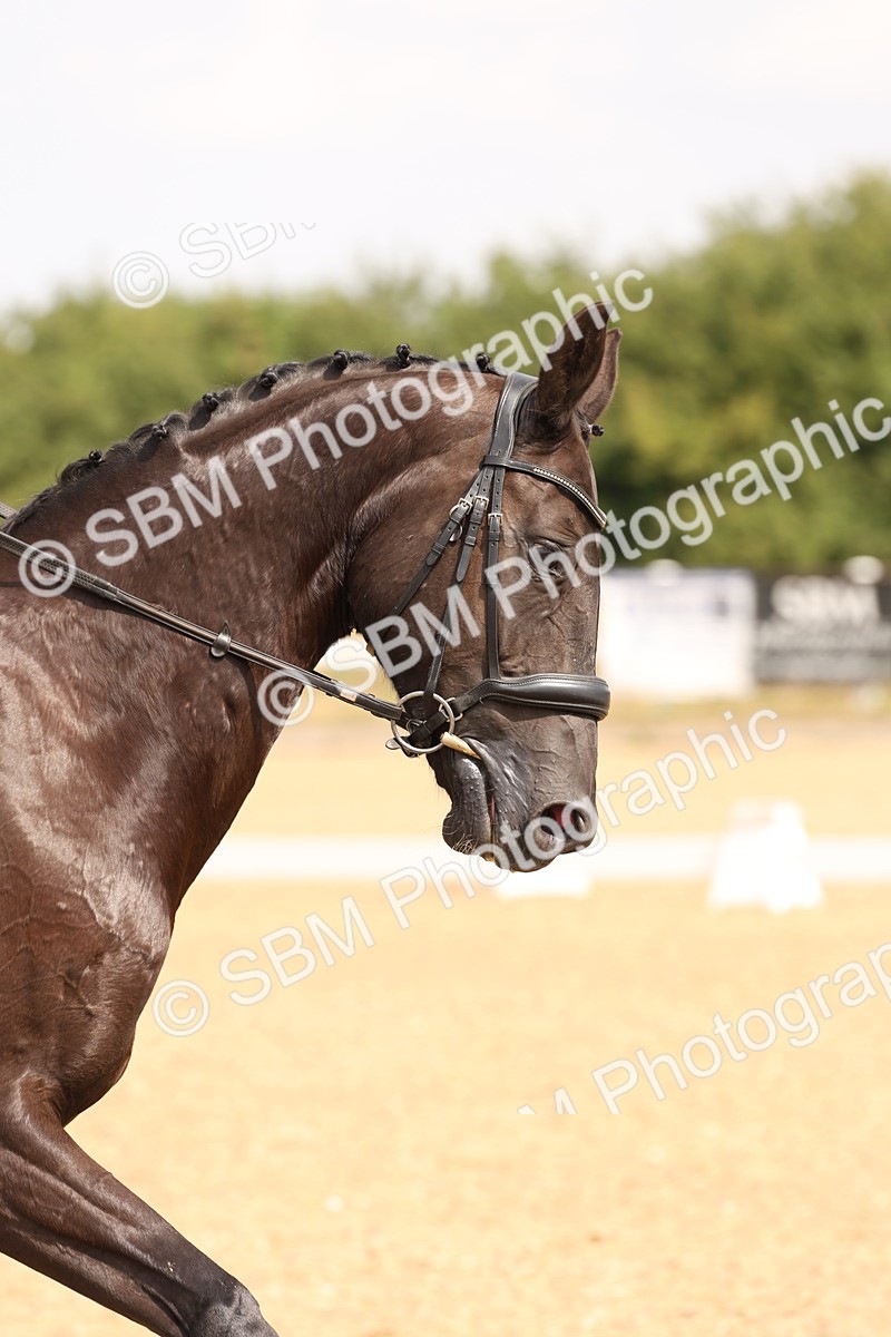 SBM_005453 - Class 12 - Elementary 6 Silver - 10.36-11.32