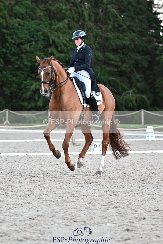 231110-163919-02704 - Cls 14 FEI Grand Prix